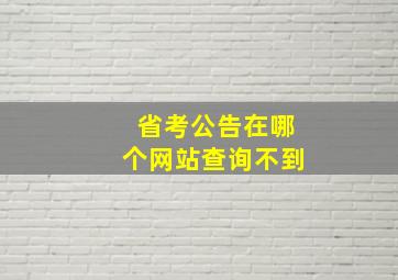 省考公告在哪个网站查询不到