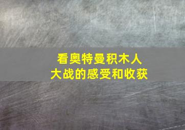 看奥特曼积木人大战的感受和收获