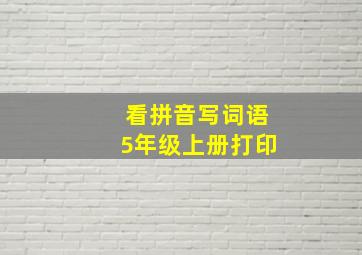 看拼音写词语5年级上册打印