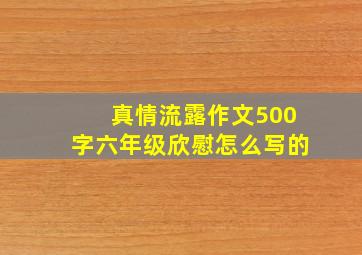 真情流露作文500字六年级欣慰怎么写的