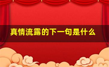 真情流露的下一句是什么