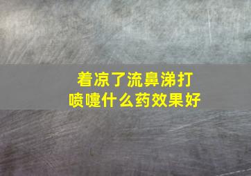 着凉了流鼻涕打喷嚏什么药效果好