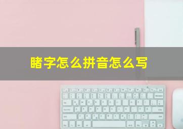 睹字怎么拼音怎么写