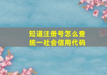 知道注册号怎么查统一社会信用代码