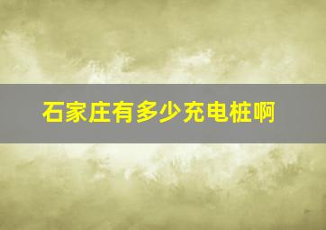 石家庄有多少充电桩啊