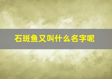 石斑鱼又叫什么名字呢