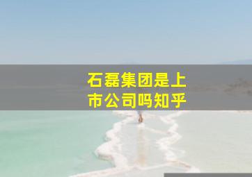 石磊集团是上市公司吗知乎