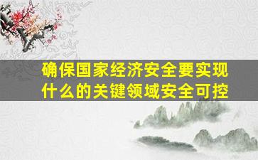 确保国家经济安全要实现什么的关键领域安全可控