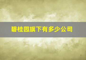 碧桂园旗下有多少公司