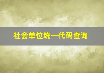 社会单位统一代码查询