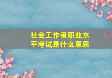 社会工作者职业水平考试是什么意思