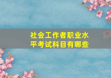 社会工作者职业水平考试科目有哪些