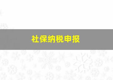 社保纳税申报