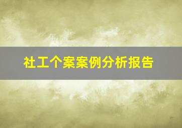 社工个案案例分析报告