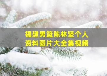 福建男篮陈林坚个人资料图片大全集视频