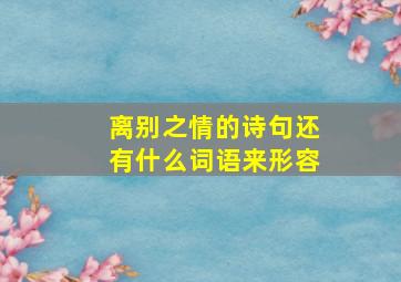 离别之情的诗句还有什么词语来形容