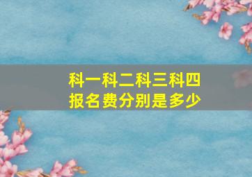 科一科二科三科四报名费分别是多少