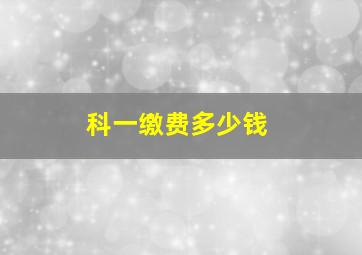 科一缴费多少钱