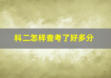 科二怎样查考了好多分