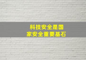 科技安全是国家安全重要基石