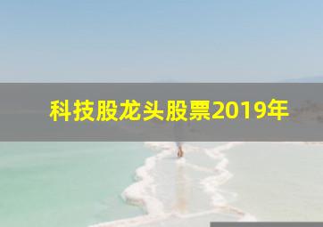 科技股龙头股票2019年