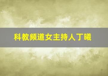 科教频道女主持人丁曦