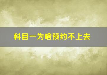 科目一为啥预约不上去