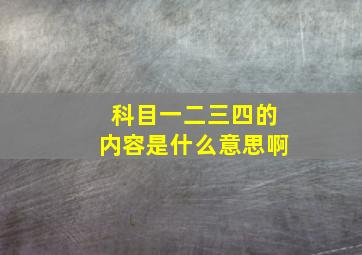 科目一二三四的内容是什么意思啊