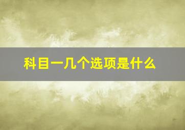 科目一几个选项是什么