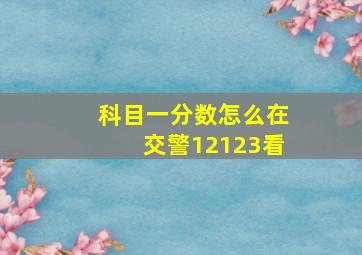 科目一分数怎么在交警12123看