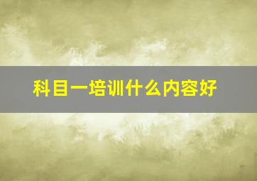 科目一培训什么内容好