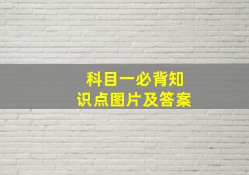 科目一必背知识点图片及答案