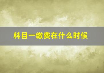 科目一缴费在什么时候