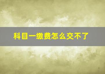 科目一缴费怎么交不了