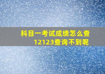 科目一考试成绩怎么查12123查询不到呢