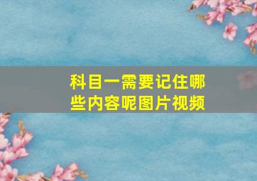 科目一需要记住哪些内容呢图片视频