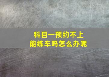 科目一预约不上能练车吗怎么办呢