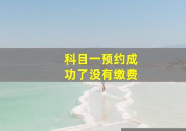 科目一预约成功了没有缴费