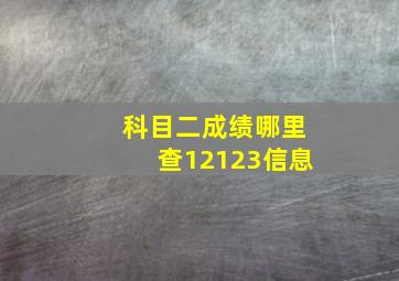 科目二成绩哪里查12123信息