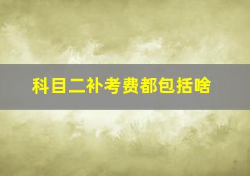 科目二补考费都包括啥