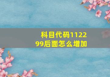 科目代码112299后面怎么增加