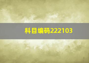 科目编码222103