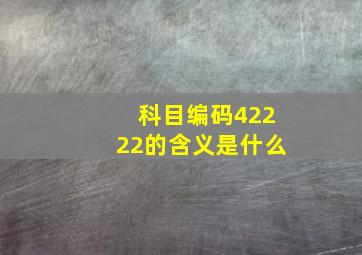 科目编码42222的含义是什么