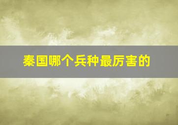 秦国哪个兵种最厉害的