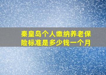 秦皇岛个人缴纳养老保险标准是多少钱一个月