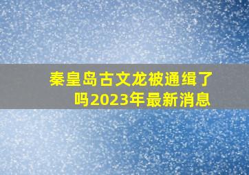 秦皇岛古文龙被通缉了吗2023年最新消息