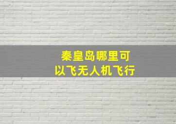 秦皇岛哪里可以飞无人机飞行