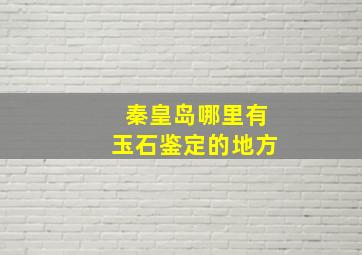 秦皇岛哪里有玉石鉴定的地方