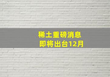 稀土重磅消息即将出台12月