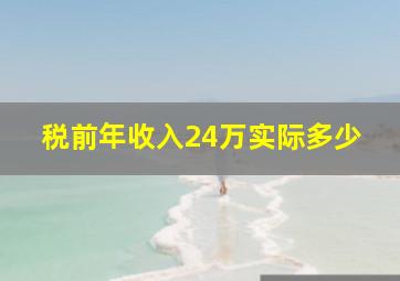 税前年收入24万实际多少